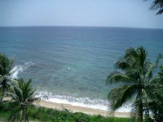 View of Beach from main cabin