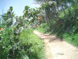 Pathway to Surfing Beaches