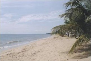 Corcega Beach Facing North