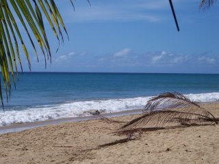 Rincon Puerto Rico, Casa Serena (beach)