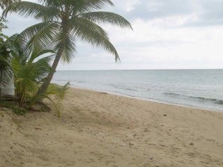 Lovely Corsega Beach