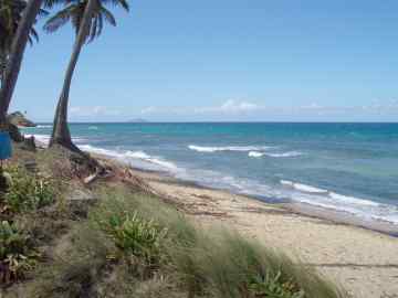 Beach at Poolside Villa