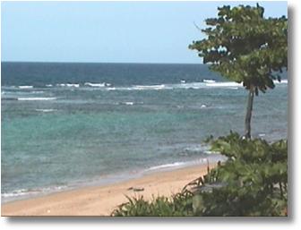 Isabela Puerto Rico - Villa Tropical Beach View