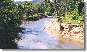 Casa Verano, Utuado Puerto Rico - Tanama River