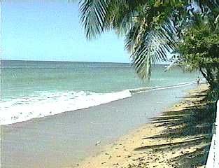 View of Beach
