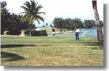 Golf at Rio Mar