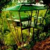 Tropical Tree House- A Unique Rincon Puerto Rico Vacation Experience!